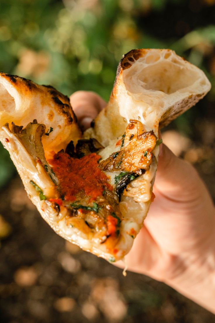 Pizza Lab – Dough, Sauce, Fire